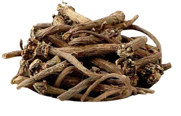 Akarkara herb